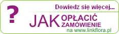 Jak zap�aci� za zam�wienie na linkflora.pl?