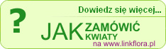 Jak zam�wi� kwiaty przez internet na linkflora.pl?