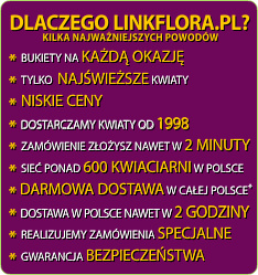 Dlaczego zam�wi� kwiaty na linkflora.pl?