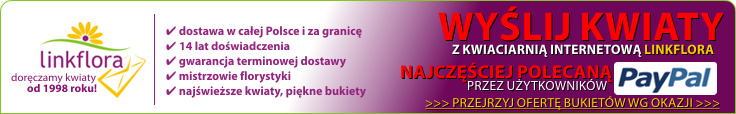 Wyślij kwiaty z www.linkflora.pl, kwiaciarnią najczęściej polecaną przez użytkowników PayPayl.com!