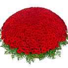 Order flowers to Poland: You Are the Best - 501 Roses Basket