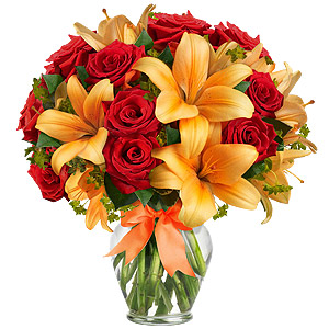 Kliknij aby powiększyć zdjęcie.