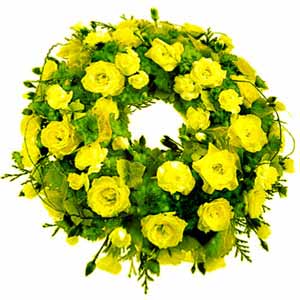Kliknij aby powiększyć zdjęcie.