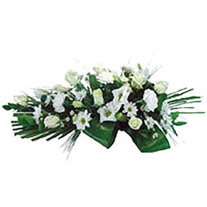 Kliknij aby powiększyć zdjęcie.