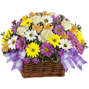 Kliknij aby powiększyć zdjęcie.