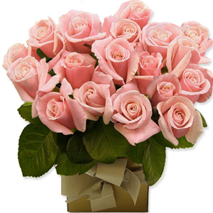 Kliknij aby powiększyć zdjęcie.