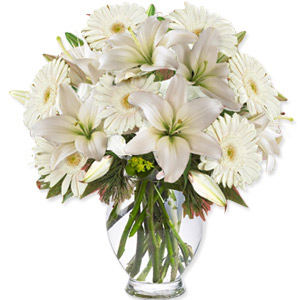 Kliknij aby powiększyć zdjęcie.