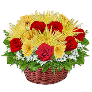 Kliknij aby powiększyć zdjęcie.