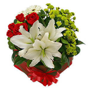 Kliknij aby powiększyć zdjęcie.