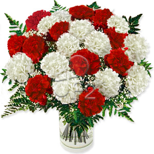 Kliknij aby powiększyć zdjęcie.