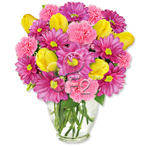 Kliknij aby powiększyć zdjęcie.