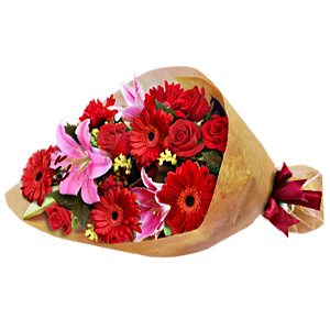 Kliknij aby powiększyć zdjęcie.