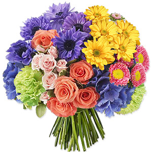 Kliknij aby powiększyć zdjęcie.