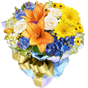 Kliknij aby powiększyć zdjęcie.