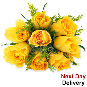 Kliknij aby powiększyć zdjęcie.