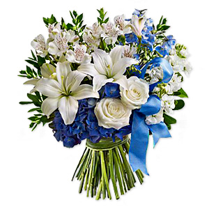 Kliknij aby powiększyć zdjęcie.