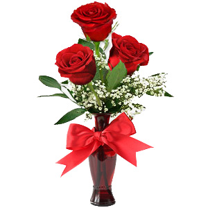 Kliknij aby powiększyć zdjęcie.